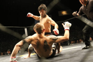 Indian MMA fighter representing the Sports Development Federation of India at an international mixed martial arts event.